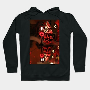 Christmas Reflection Hoodie